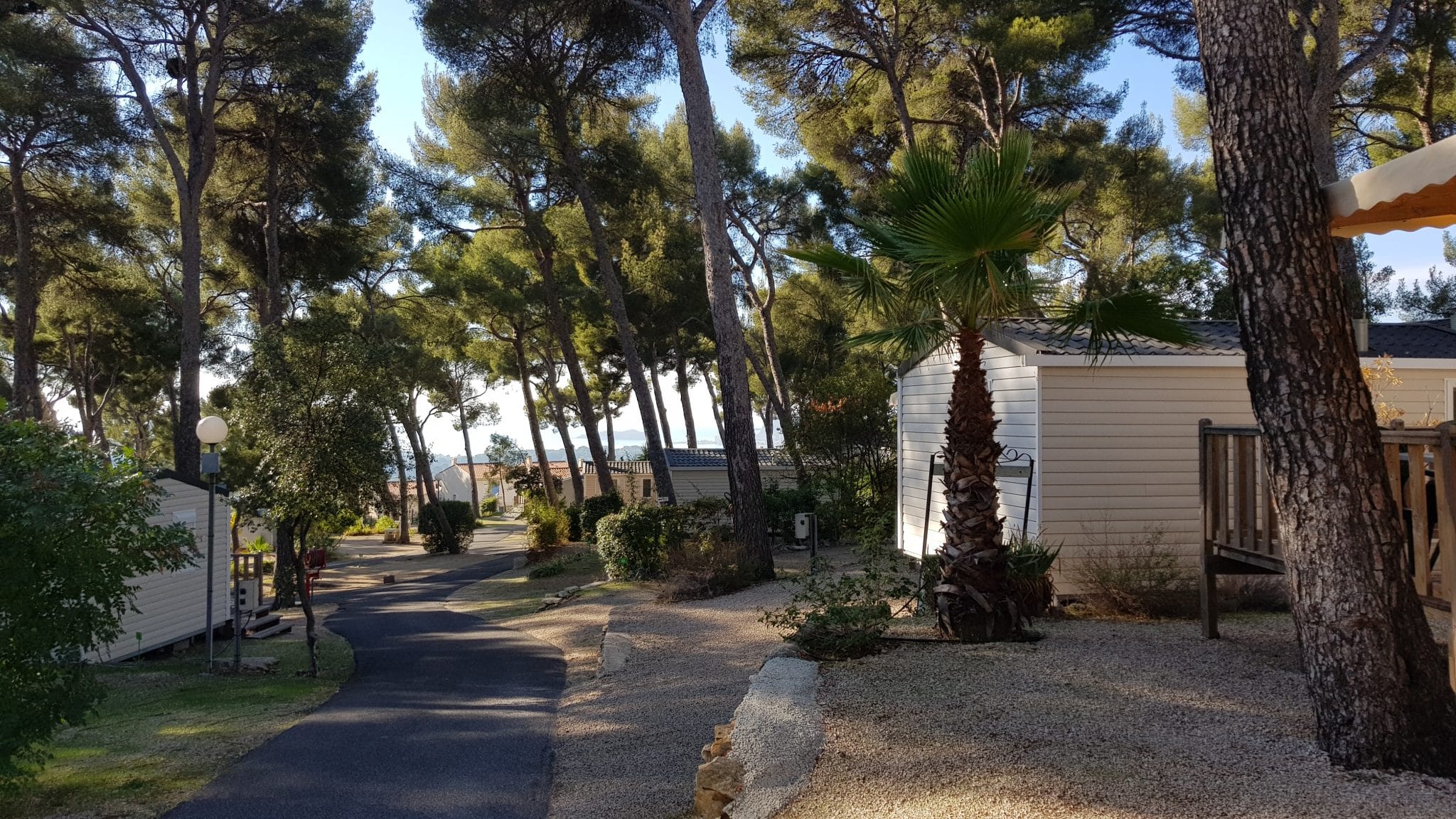 Camping Cassis et La Ciotat - Vakantie in Zuid-Frankrijk